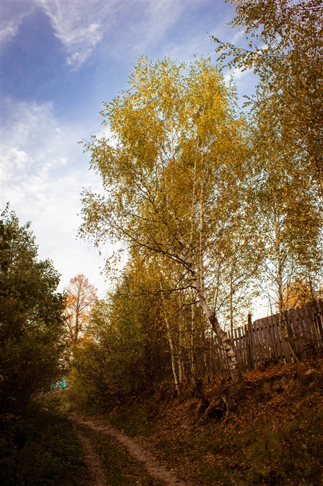 Фото жизнь