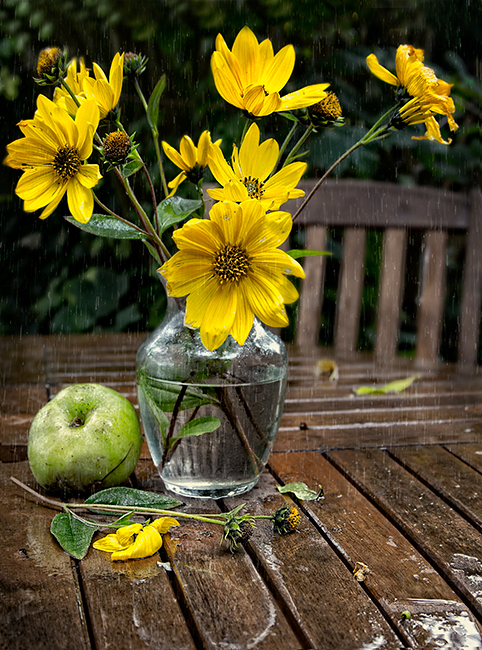 Фото жизнь - Melonik - Flowers and Still life - Осень в нашем саду