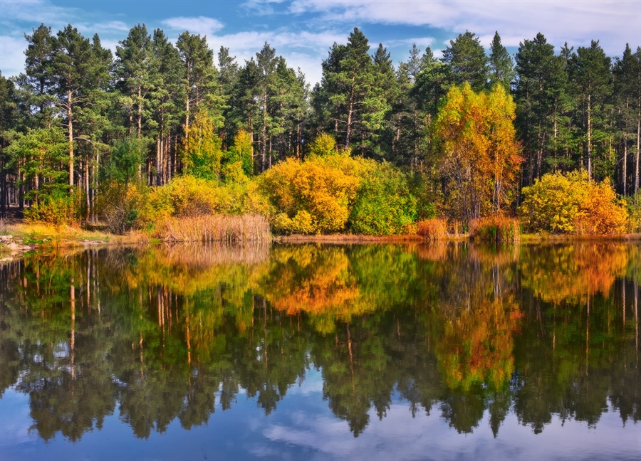 Фото жизнь