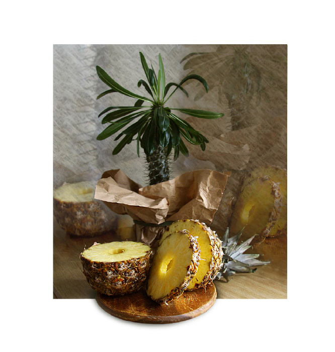 Фото жизнь (light) - Janira - корневой каталог - ешь ананасы...