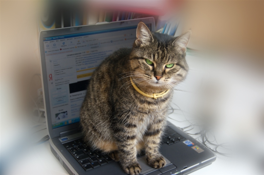 Ничто человеческое им не чуждо...