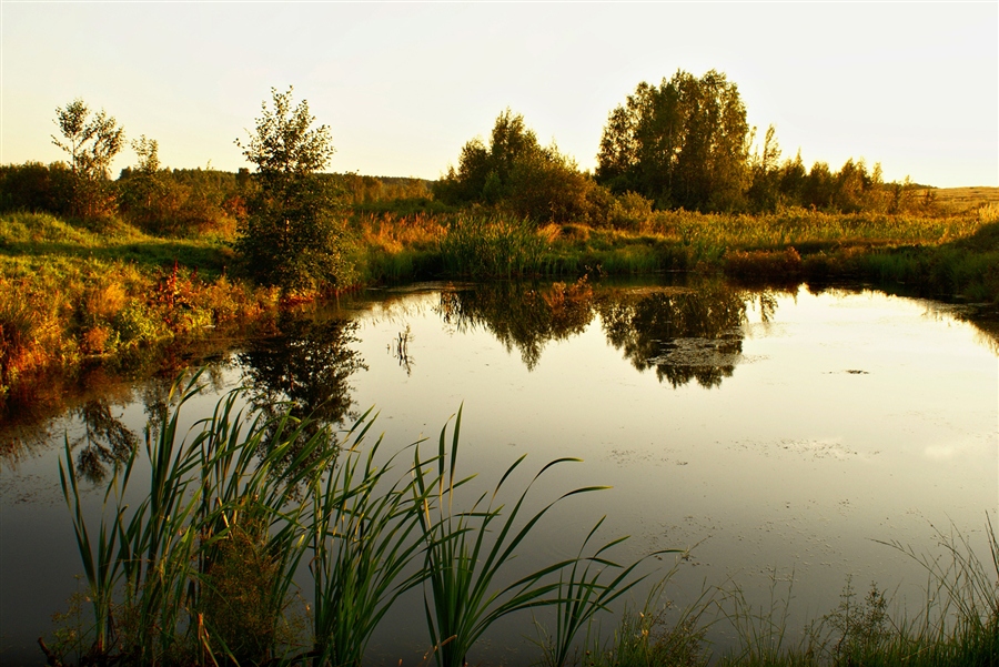 Фото жизнь