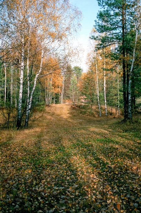Фото жизнь