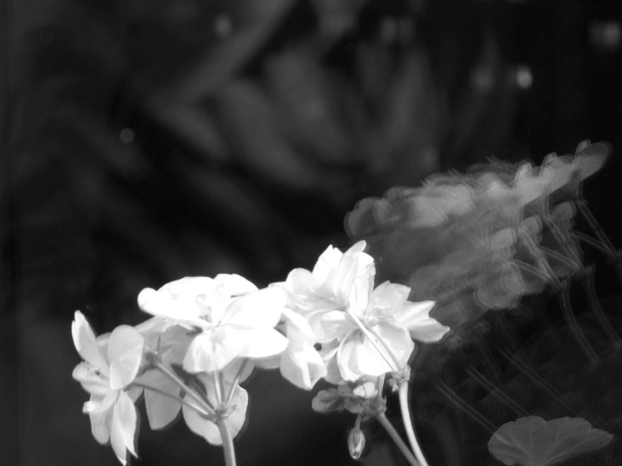 Фото жизнь (light) - Александр Клёнов - Разное - ***