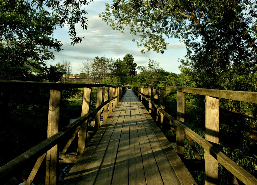 Фото жизнь (light) - Vell - корневой каталог - деревянный мост