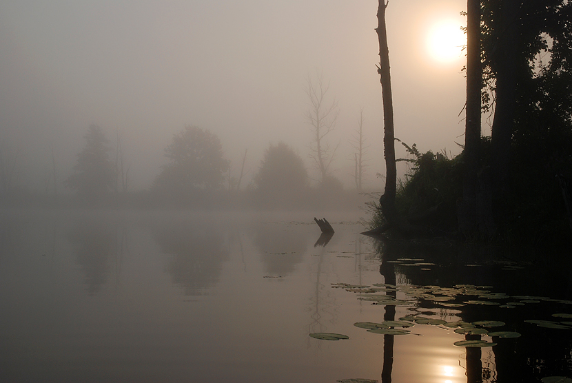 Фото жизнь - Михаил Филиппов  - Старое русло древней реки - Утро  знойного дня