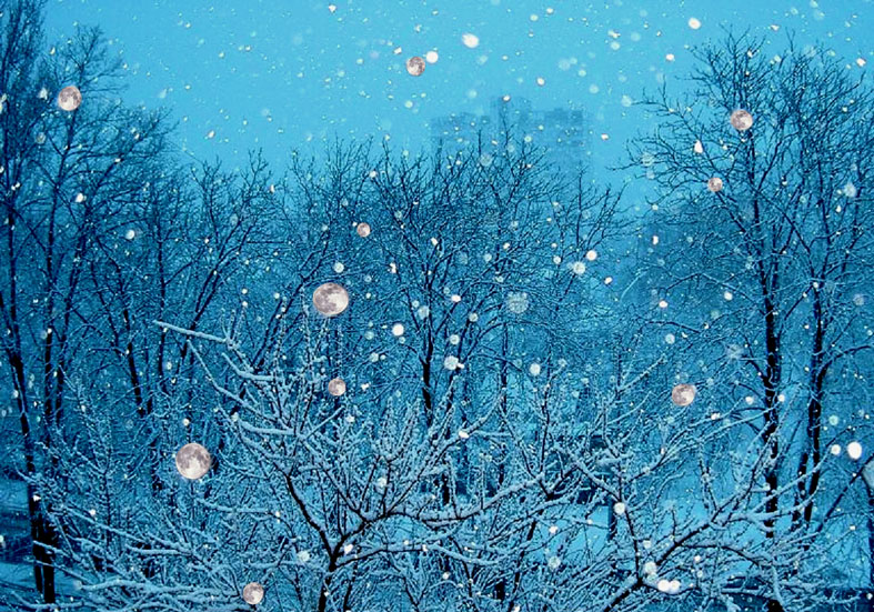 Фото жизнь (light) - flyer - корневой каталог - Лунный снегопад