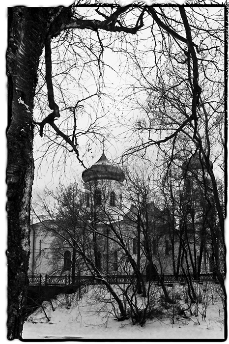 Фото жизнь