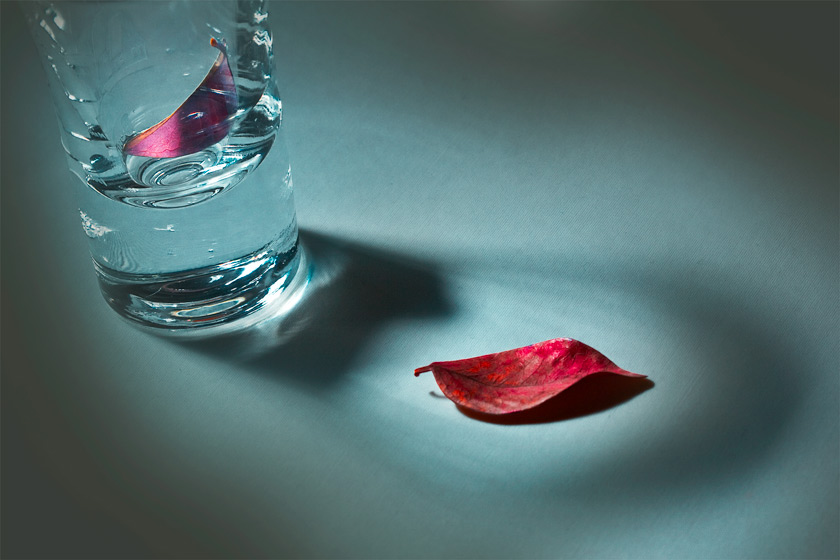 Фото жизнь (light) - Yakov Bloch - Glass - -