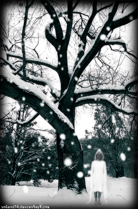 Фото жизнь - voland14 - корневой каталог - Зимняя депрессия