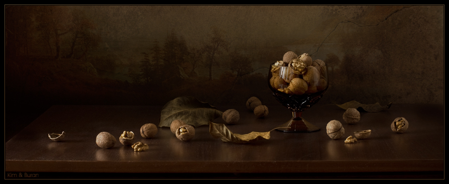 Фото жизнь - Kим и Буран - Still Life - натюрморт с орехами