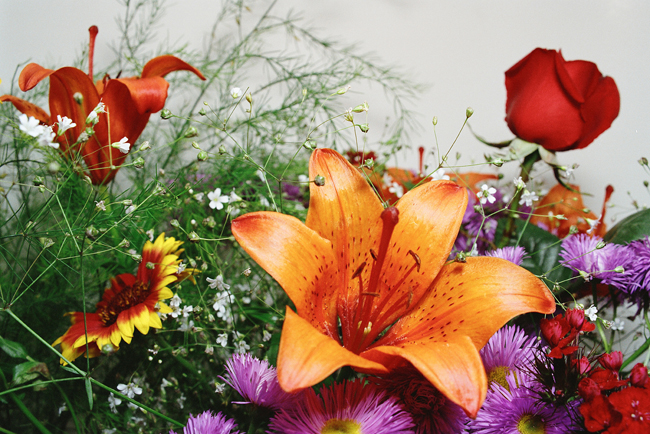 Фото жизнь (light) - Sergey Vetrov - корневой каталог - С Днем Рождения Украина