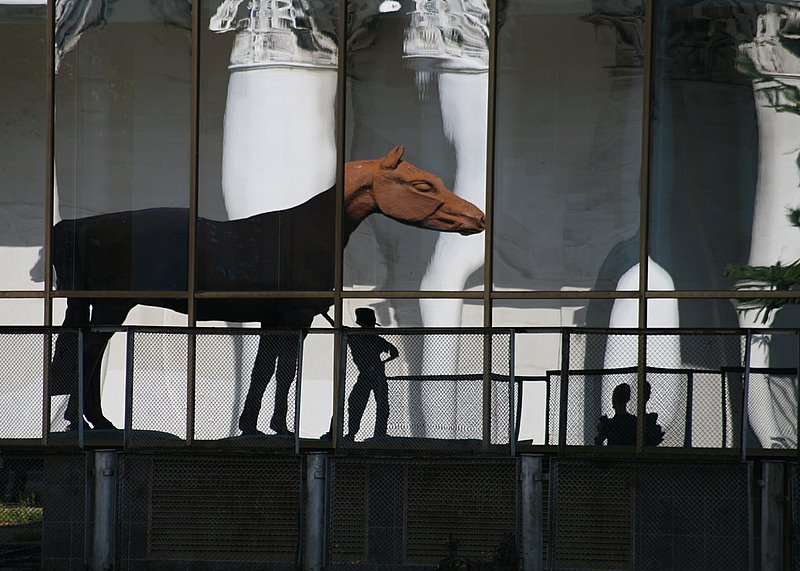 Фото жизнь (light) - . - Зверьё моё. - Если б я имел коня...