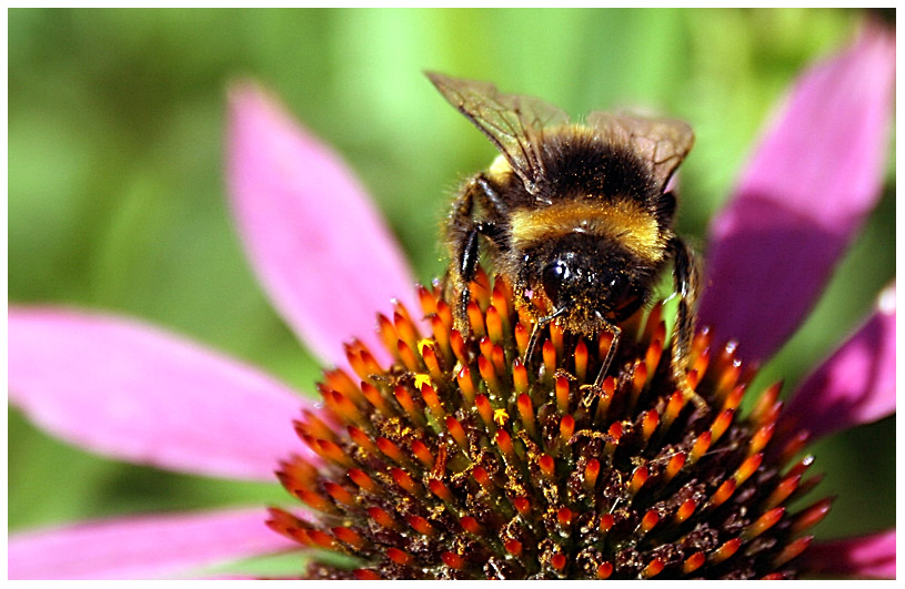 Фото жизнь (light) - Soon - корневой каталог - Лето