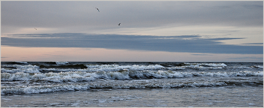 Фото жизнь - Elli - Волна - Морская мелодия...