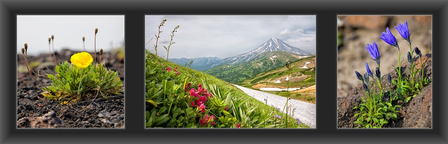 Фото жизнь