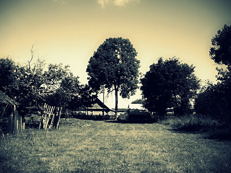 Фото жизнь (light) - magnolija - корневой каталог - Деревня