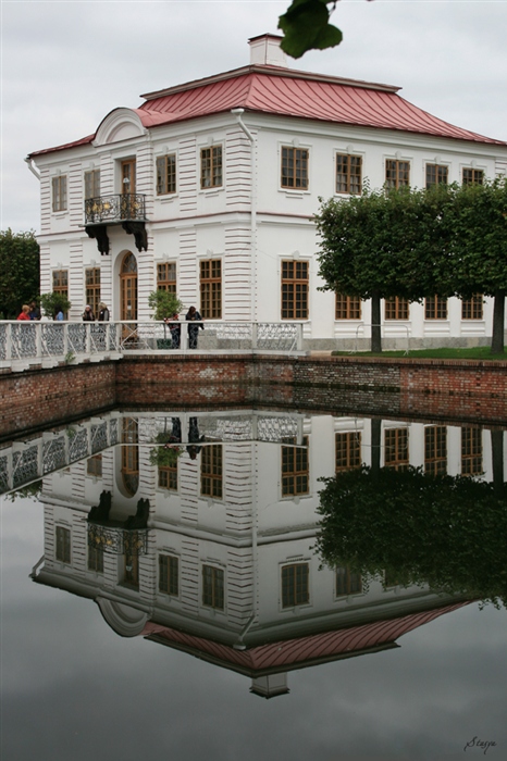 Фото жизнь