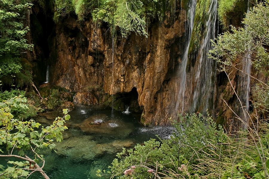 Фото жизнь