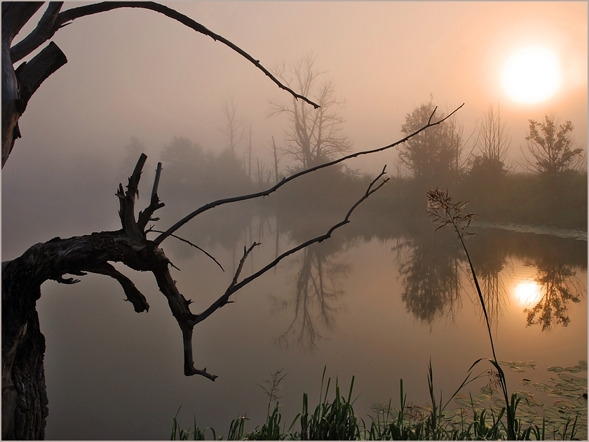 Фото жизнь (light) - Михаил Филиппов  - Старое русло древней реки - ***