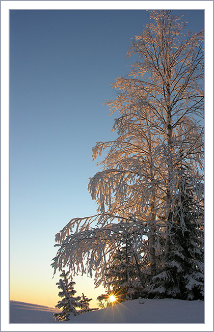 Фото жизнь (light) - Zamdir - корневой каталог - В ожидании зимы