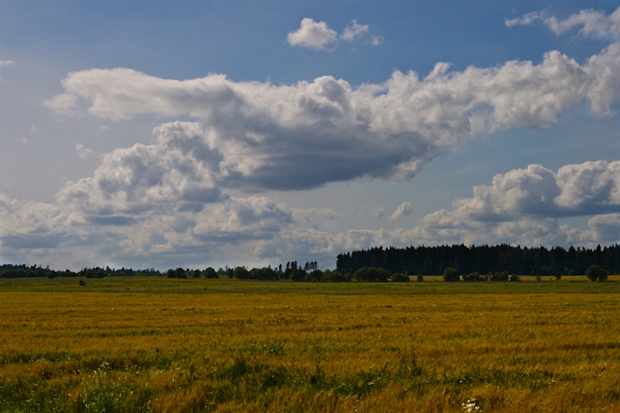 Фото жизнь