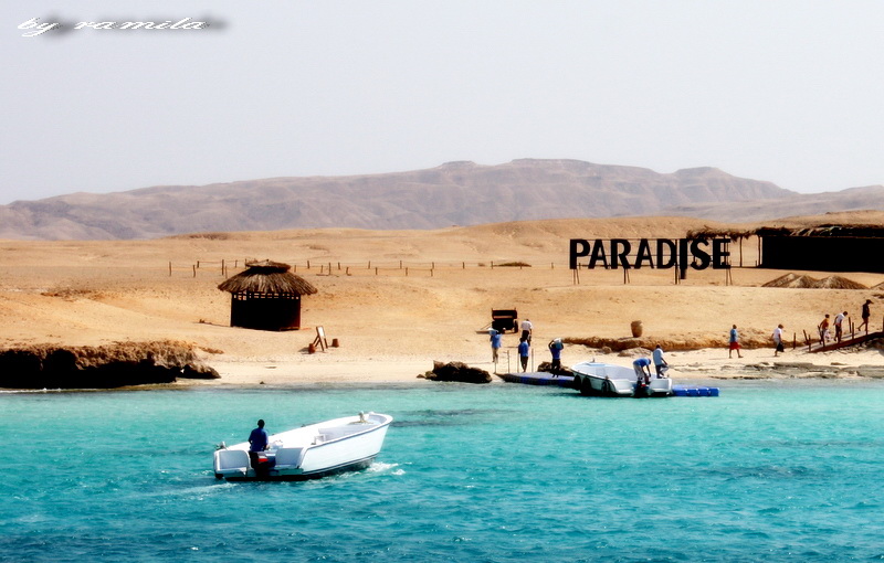 Фото жизнь (light) - ramila - корневой каталог - Приехал