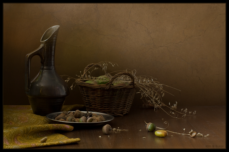 Фото жизнь - Kим и Буран - Still Life - натюрморт с желудями