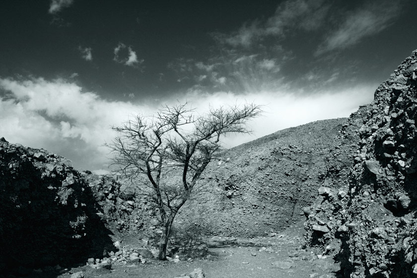 Фото жизнь (light) - Yakov Bloch - Negev - Negev