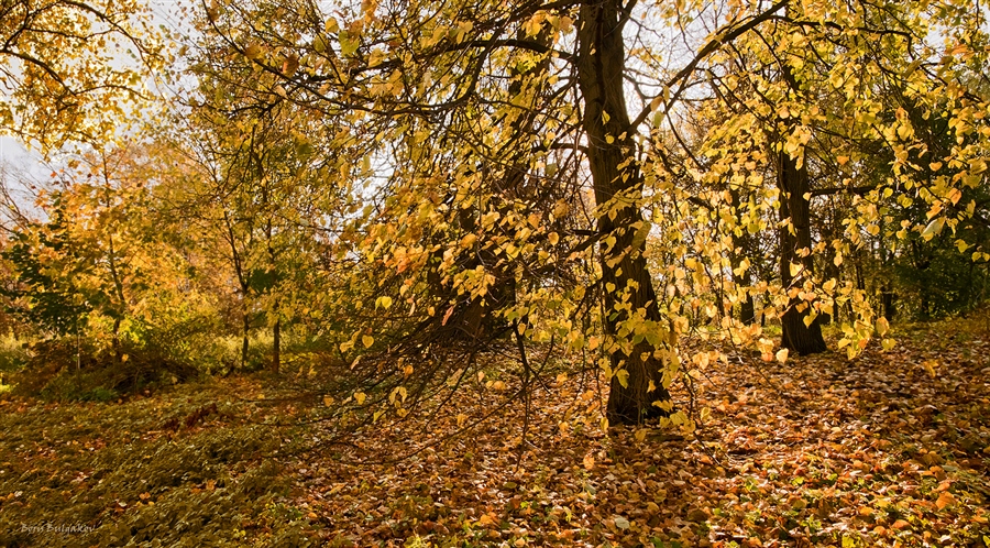 Фото жизнь