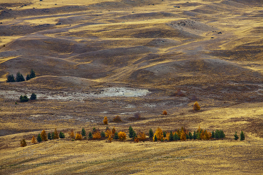 Фото жизнь (light) - PhotoSD - Новая Зеландия - Новозеландский ландшафт
