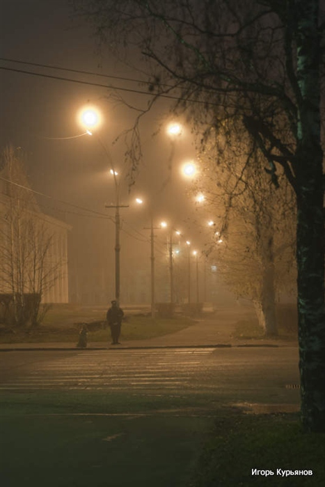 Фото жизнь