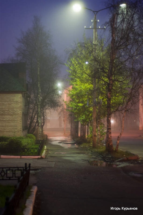Фото жизнь