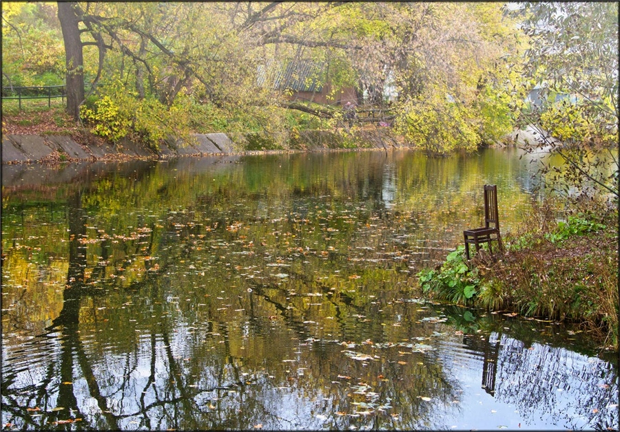 Фото жизнь