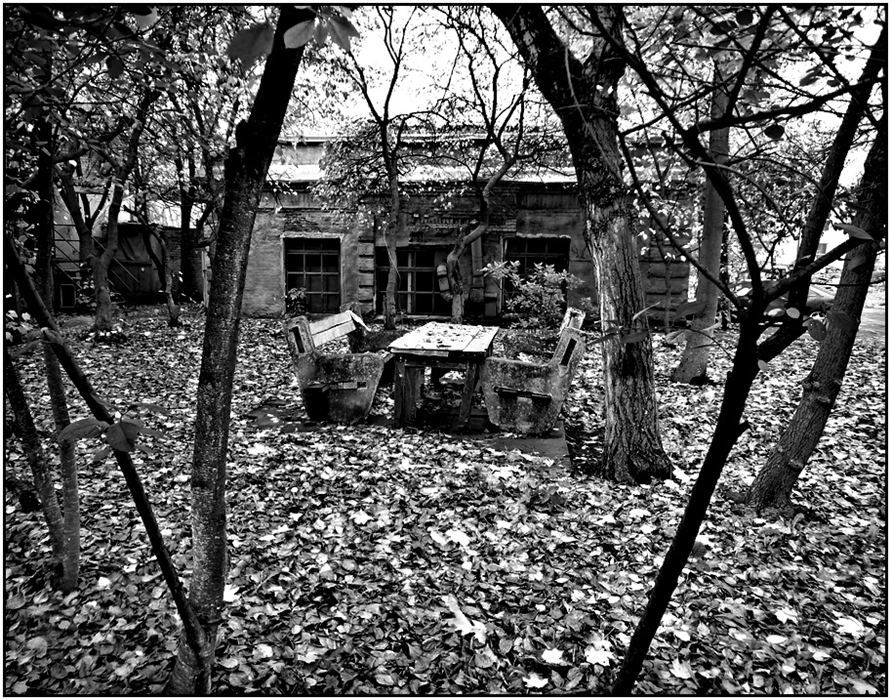 Фото жизнь