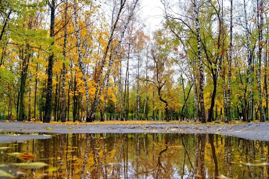 Фото жизнь