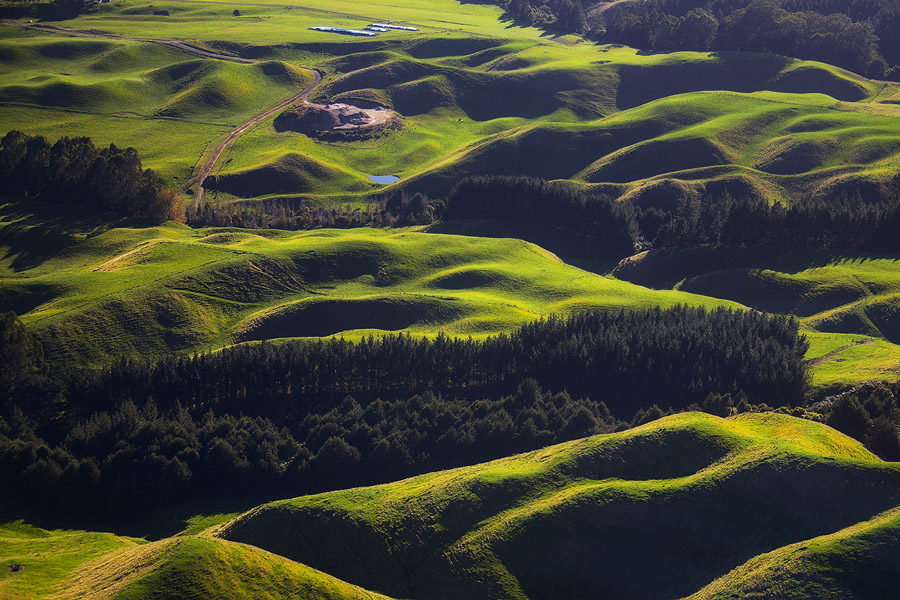 Фото жизнь (light) - PhotoSD - Новая Зеландия - Новозеландский ландшафт - 3