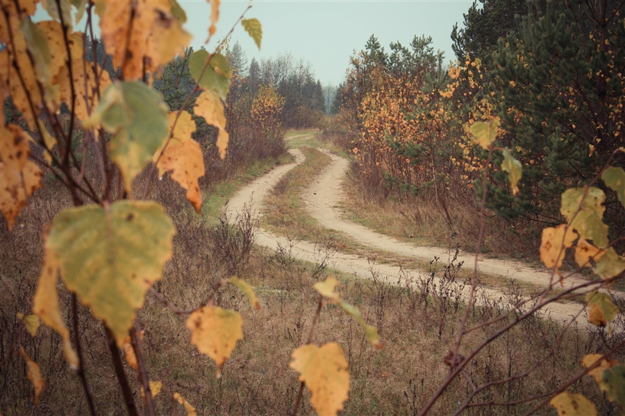 Фото жизнь