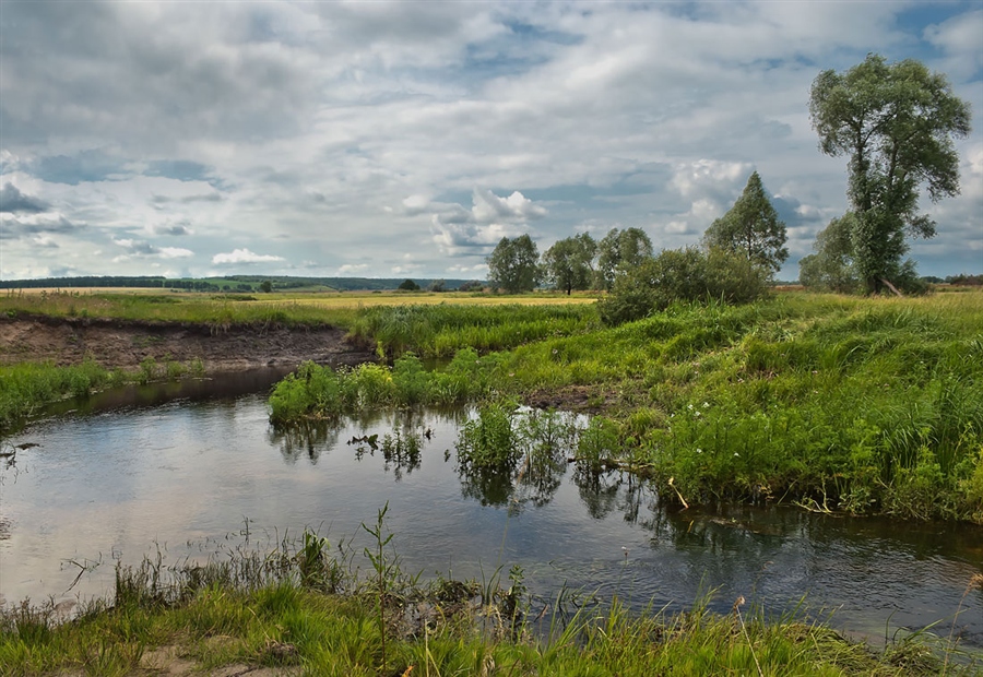 Фото жизнь
