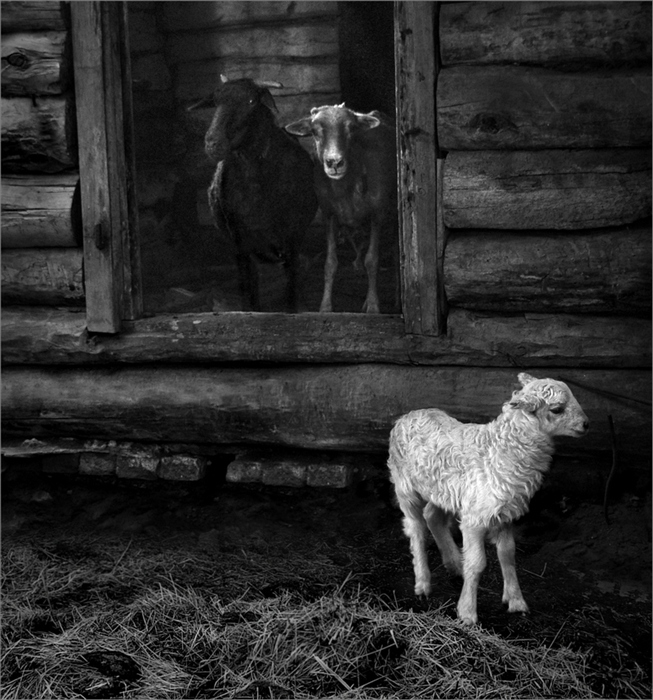 Фото жизнь