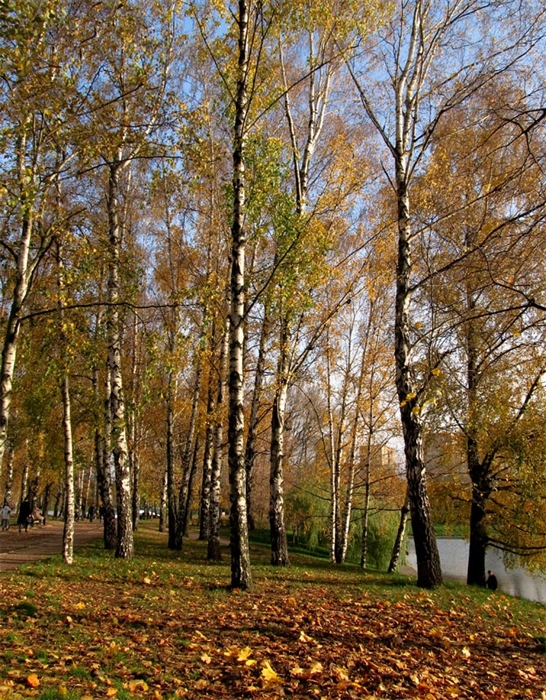 Фото жизнь