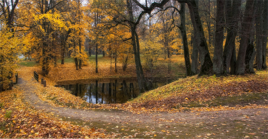 Фото жизнь - El_G - корневой каталог - Заблудилась осень в старом парке...