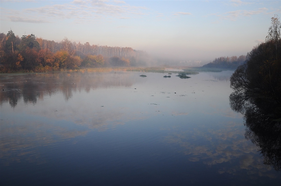 Фото жизнь