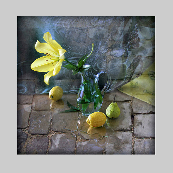 Фото жизнь - Janira - корневой каталог - С желтой лилией