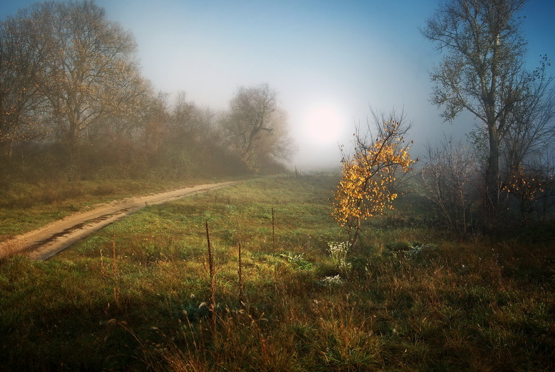 Фото жизнь (light) - Биленский Гена - Октябрь - ****