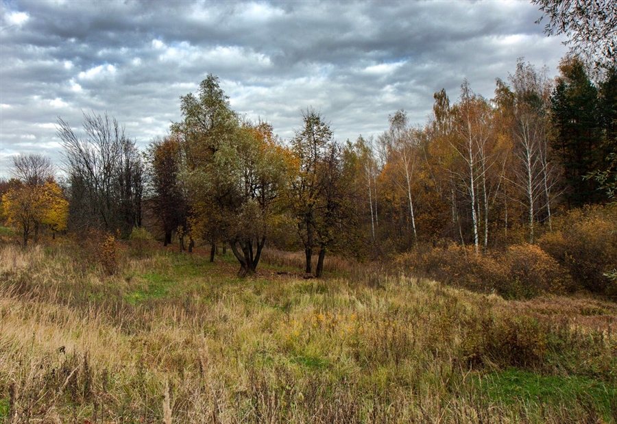 Фото жизнь