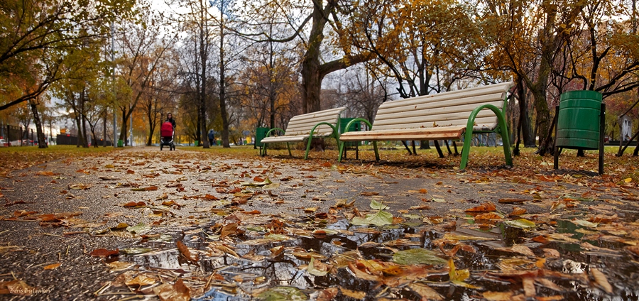Фото жизнь
