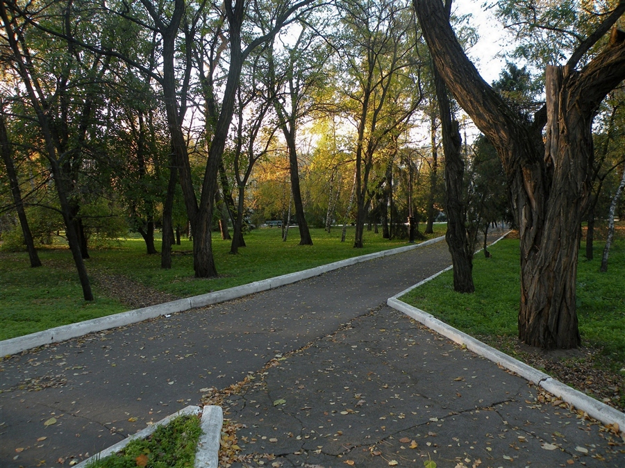 Фото жизнь