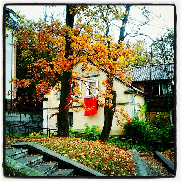 Фото жизнь
