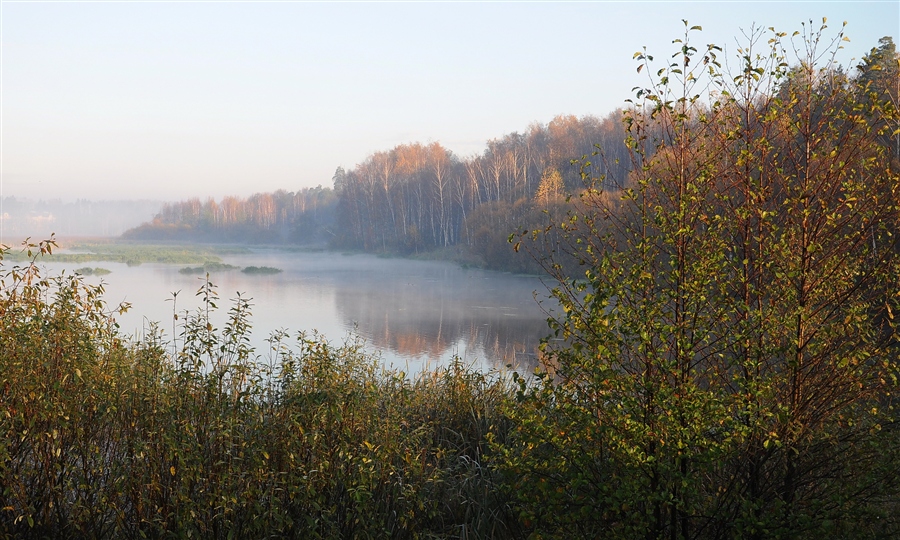 Фото жизнь